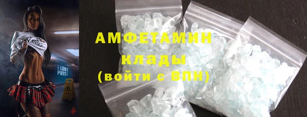 сатива Пересвет