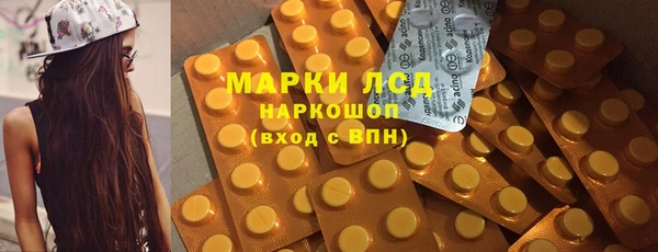 сатива Пересвет